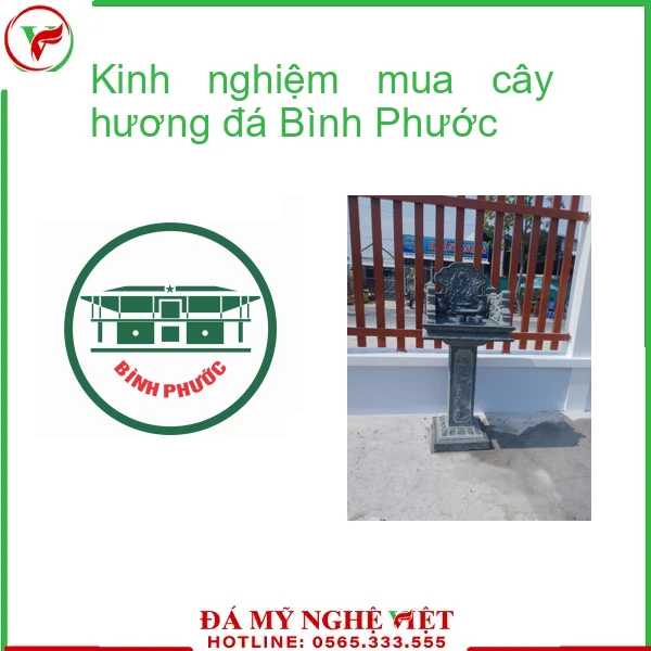 Kinh nghiệm mua cây hương đá Bình Phước-f2-2001